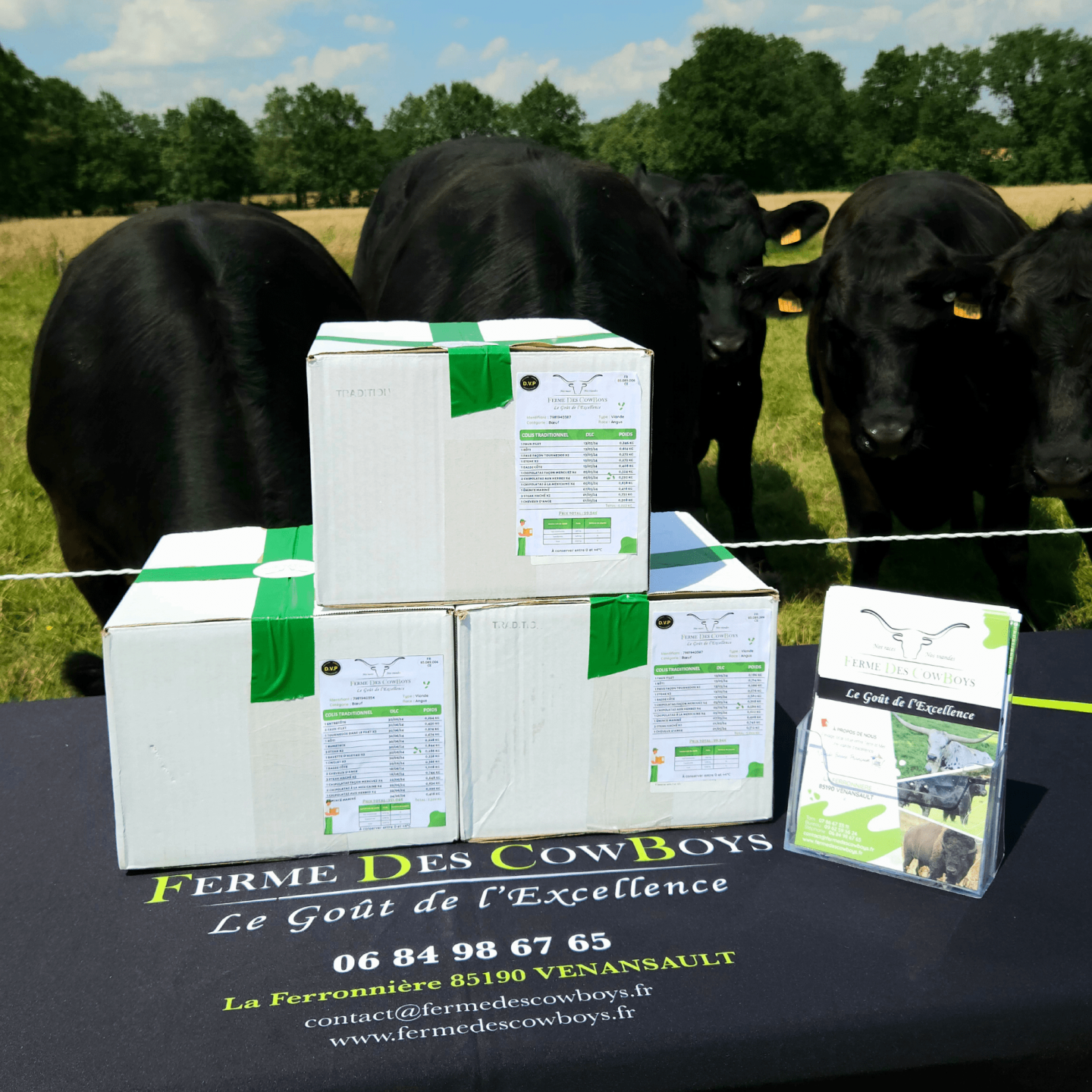 Colis Grillade ± 5Kg Angus