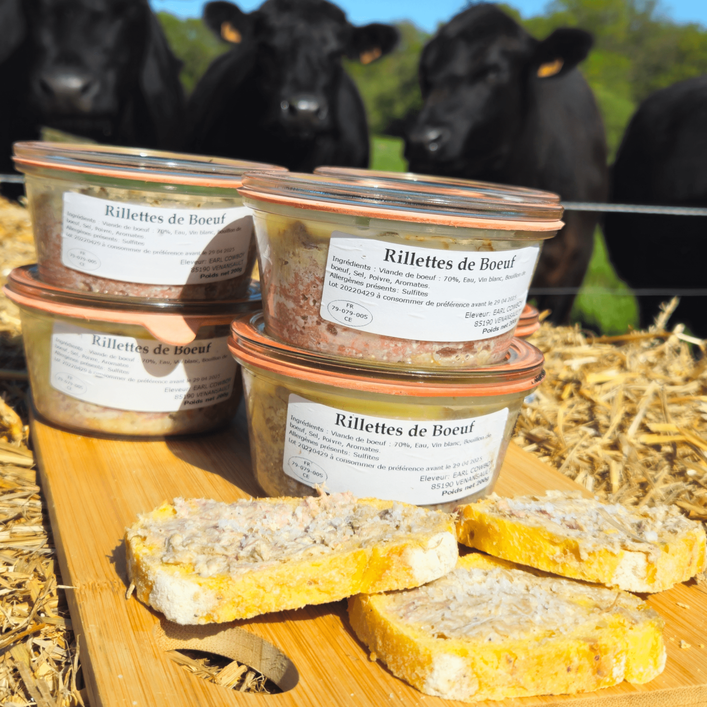 Rillettes de bœuf Angus