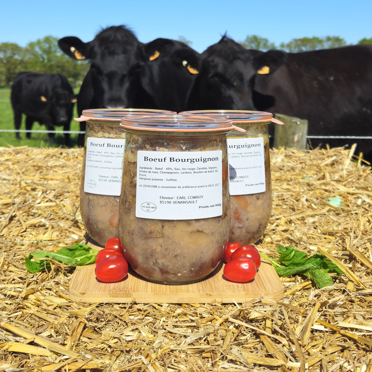 Bœuf bourguignon Angus